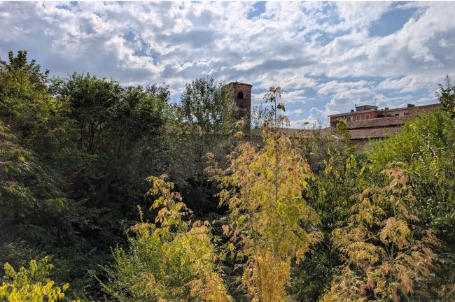 PAVIA MONASTERO RESTAURO