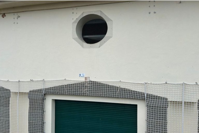 Indagini Stratigrafiche Beni Culturali Restauri