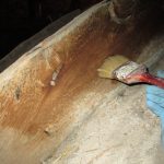 Trattamento antitarlo centine estradosso in legno